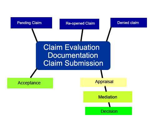 ClaimsProUSA insurance claim process