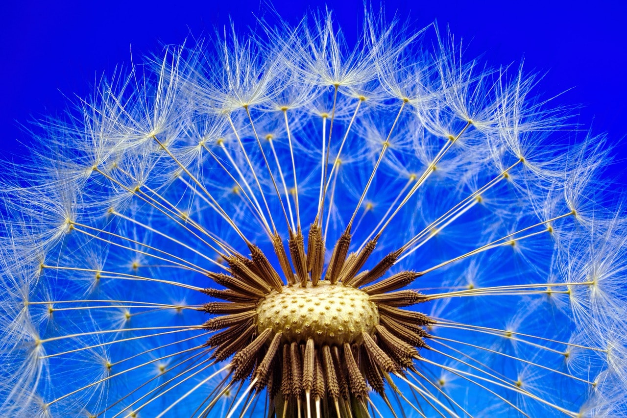 Five Spring Cleaning Tips For Cleanliness (and Safety)
