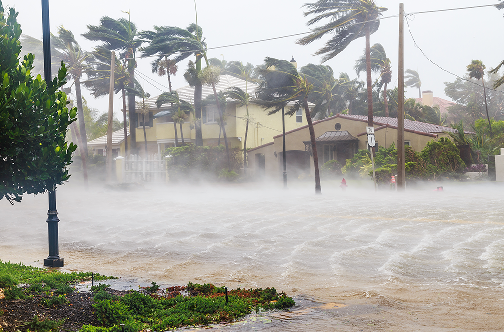 Regular Storm Damage Vs. Hurricane Damage Coverage: Are They Different?