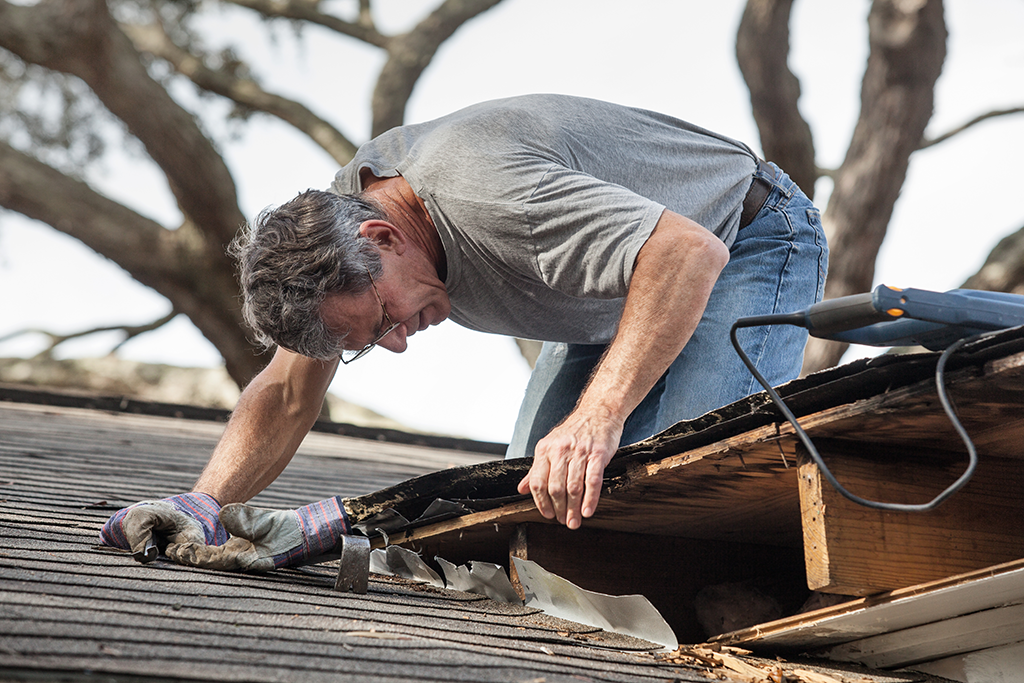 Does Homeowner Insurance Cover Roof Leak Damage 