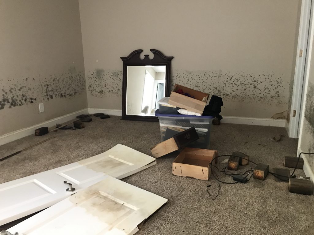 water-flood-mold-damaged-house-2021-09-02-08-16-22-utc