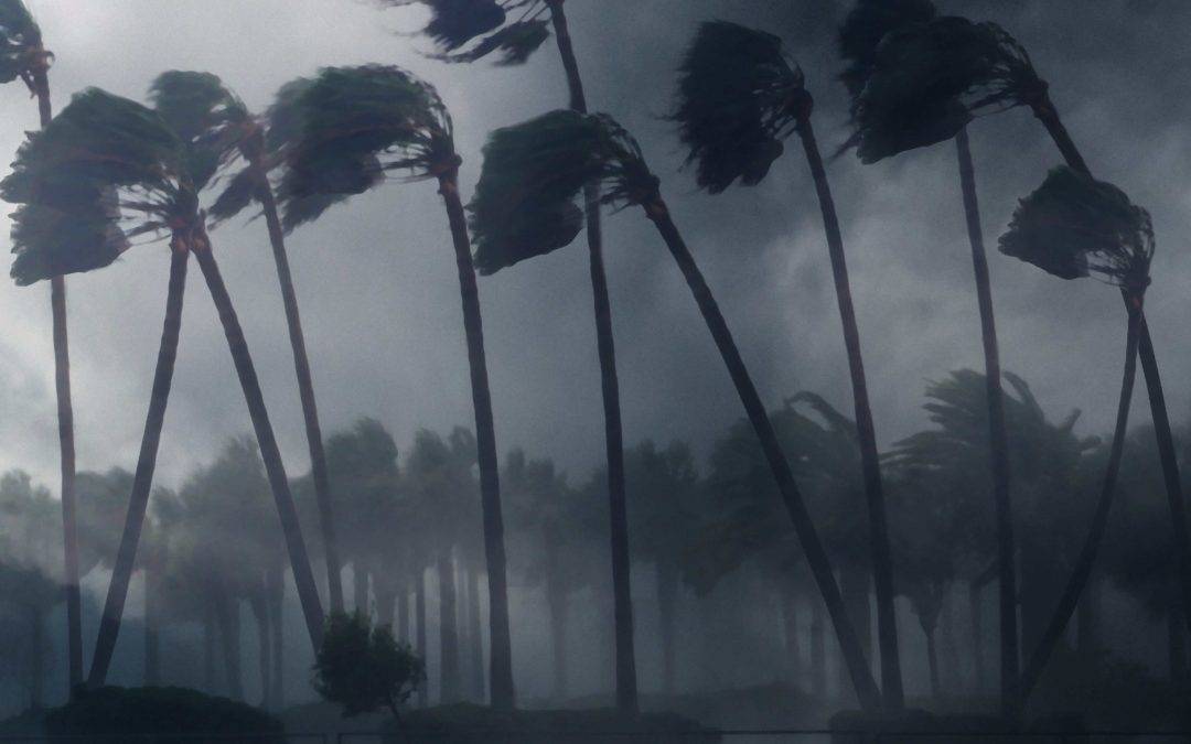 Prepare Yourself for the Hurricane Season 2023 in Florida